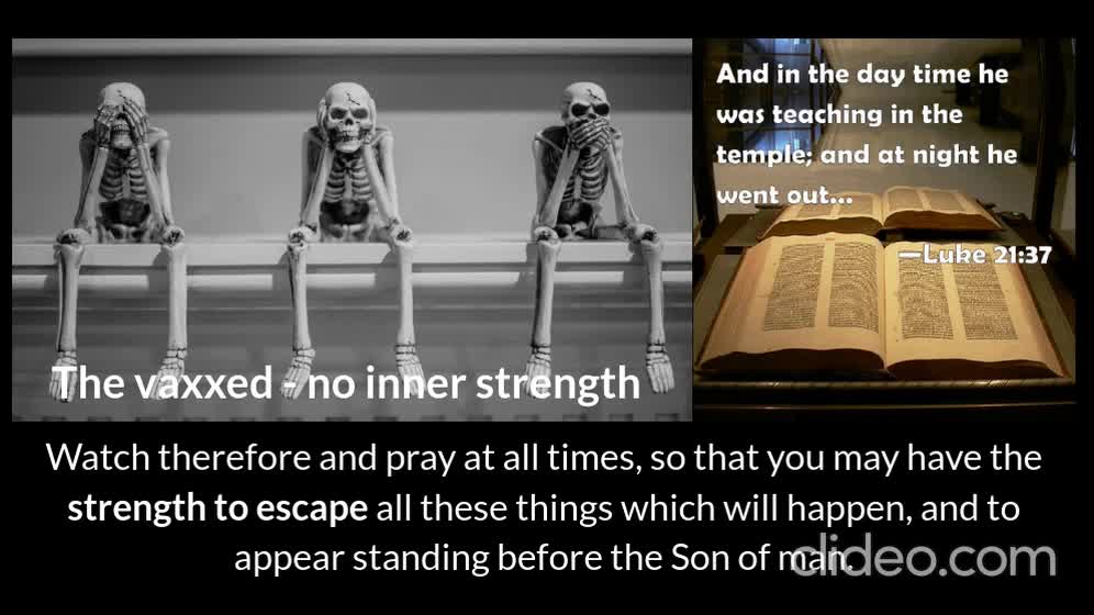 unvaxxed - inner strength to escape all (1 image)