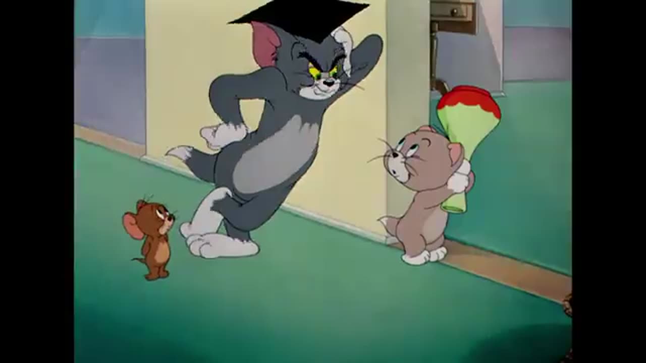 Tom cat fight and jerry funn crazy video for video