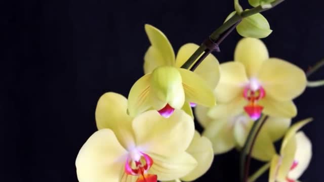 Beautiful nature in motion!