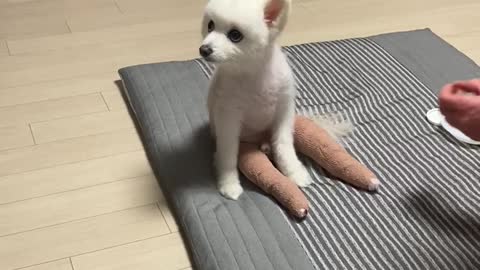 My baby has become more picky.