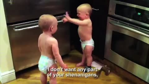 The Talking Twin Babies, Translated
