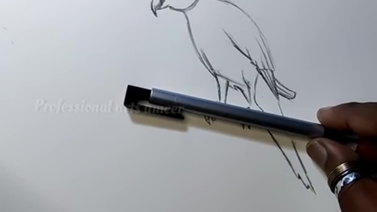 how to draw pachai kili ( parrot 🦜) _ 3d Drawing