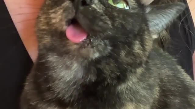 😂😂 Like " oh yeah thats the spot 😝