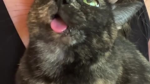 😂😂 Like " oh yeah thats the spot 😝