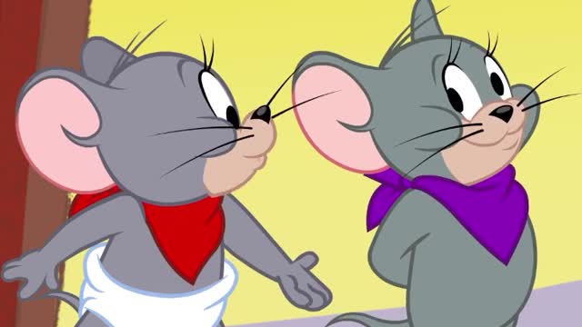 Tom and Jerry funny videos