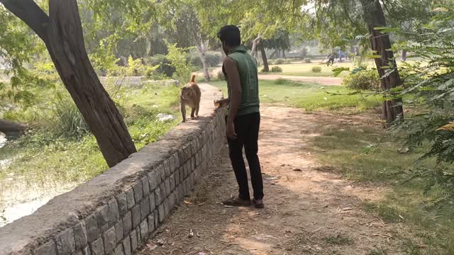 Monkey attack human funny video 🤣🤣🤣😅🤣🤣