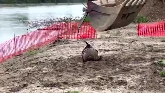 WWII bomb found in dried river detonated by Italian army_batch