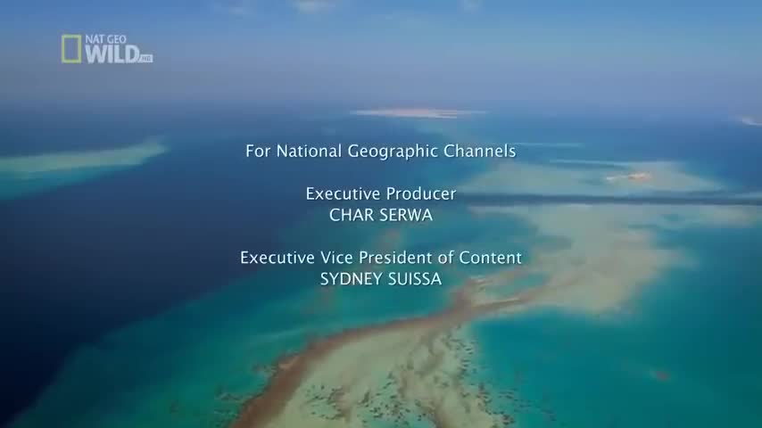 PLANET EARTH II SEASON 1 EPISODE 1 - 6 FULL | Documentary, David Attenborough, - HD