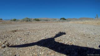 Hang On Buddy!! Tough ole Ant. Drone perspective.