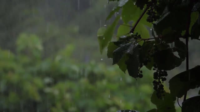 10 hours of loud heavy rain sounds