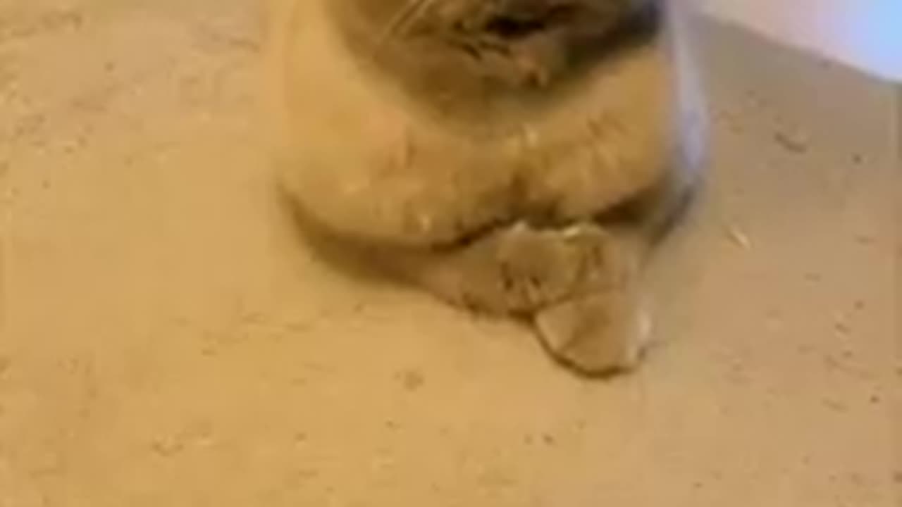 Cute