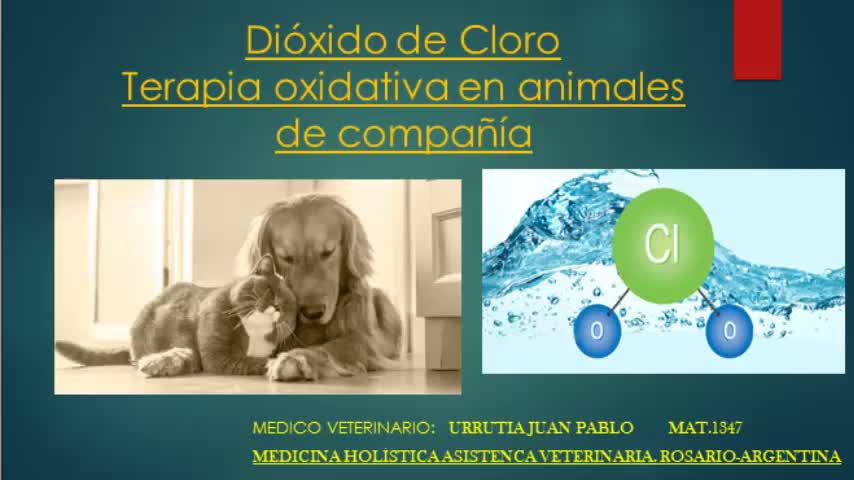 Charla: terapia oxidativ en animales de compañía 17/12/20