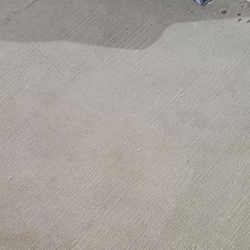 Trash Leaving Their Trash Behind