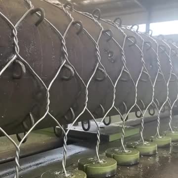 funny|prank|jokes|funny jokes|dad jokes|funny memes|funny video|fun|laughing|funny animal|knock