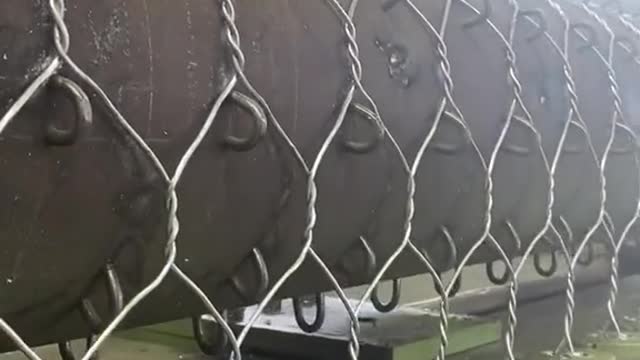funny|prank|jokes|funny jokes|dad jokes|funny memes|funny video|fun|laughing|funny animal|knock