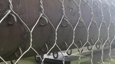 funny|prank|jokes|funny jokes|dad jokes|funny memes|funny video|fun|laughing|funny animal|knock