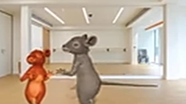 Funny rat dance video complication| funniest rat dance video.