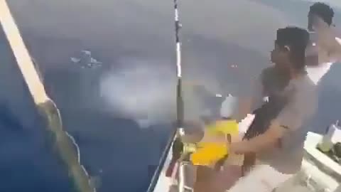 This is a beautiful and charming water-dwelling species