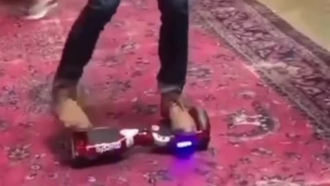 The End 😂😂😂 #viral #shorts #reels #funny #fails