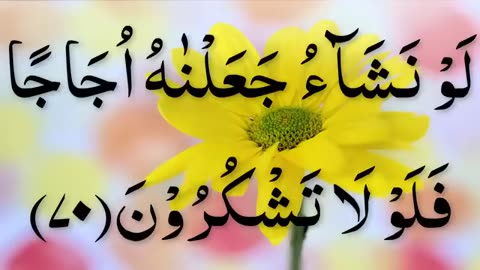 Talawat Quran Of Allah Shura Waqi