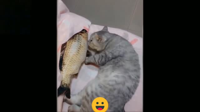 Cute and funny pets video 📸 and so Interesting video