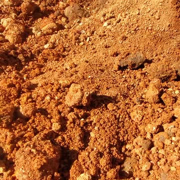 Crystal Hunting in Arkansas