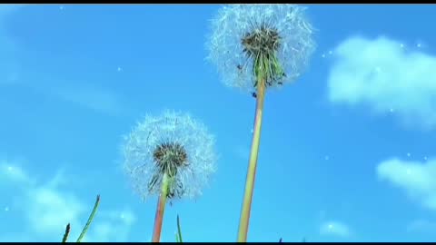 Dandelions are too beautiful