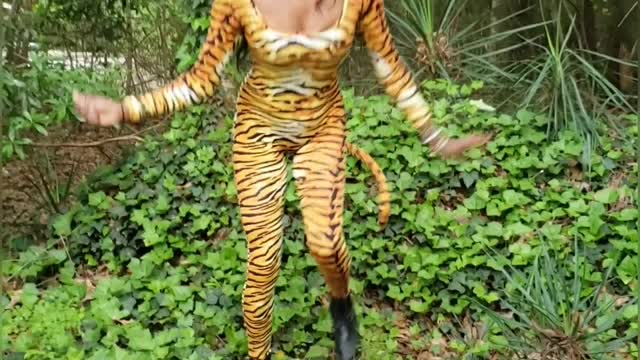 Tiger Pig