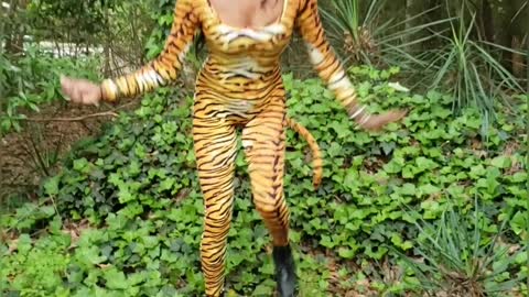 Tiger Pig
