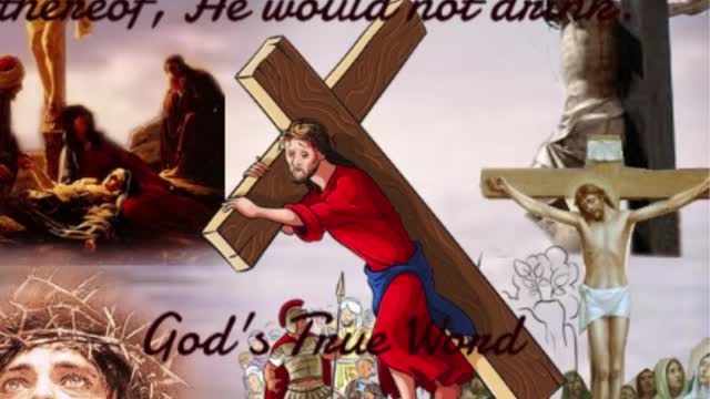God's Word