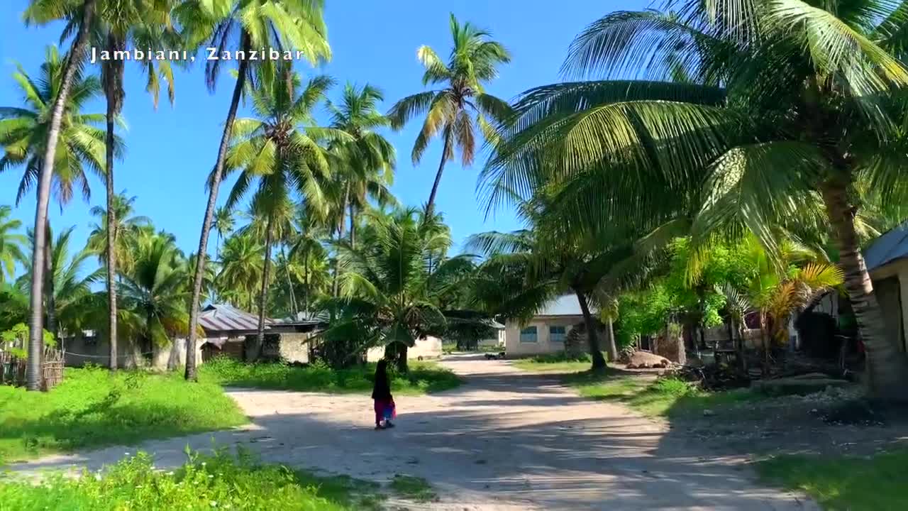 Zanzibar village, Tanzania