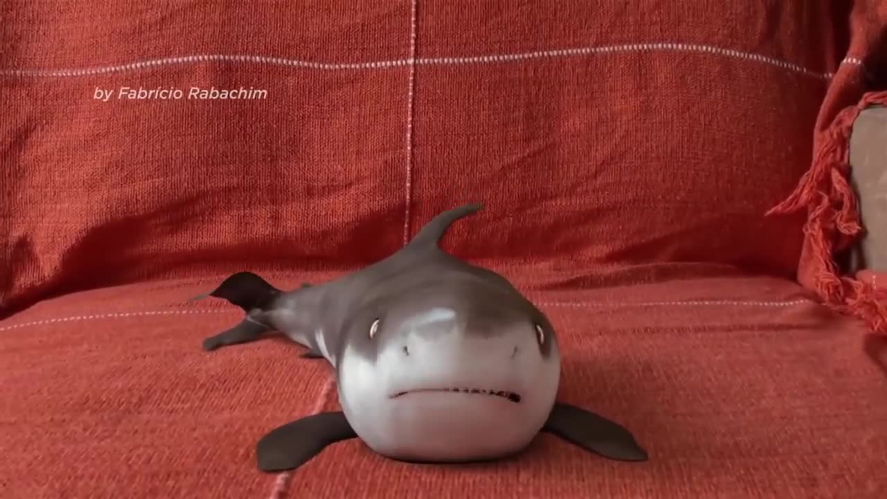 Cutest baby shark 🦈