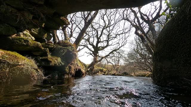 River in Dartmoor. GoPro