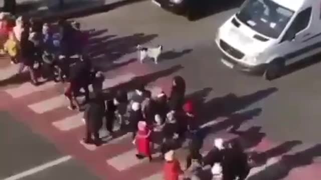 A strong doggo helps these kids cross the road 😀with a sweet heart 💛