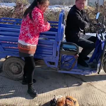 Best Funny Videos 2022, Chinese Funny clips daily #shorts 2022