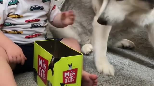 The Full 4 Year Story Of My Husky & Baby Becoming Best Friends!! [WITH MUSIC!]