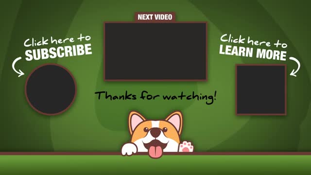 Jealous_doggy_clearly_doesn't_want_a_new_sibling_#Shorts(360p).mp4