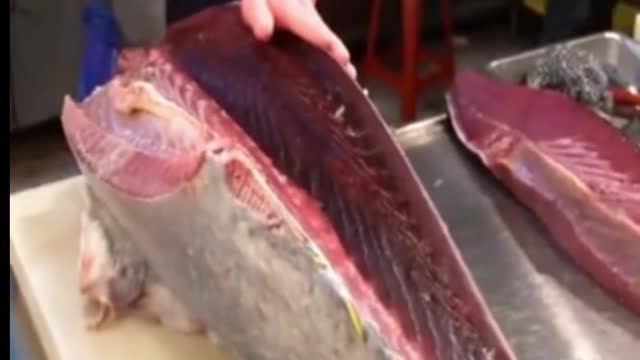 A Giant Tuna cutting amazing