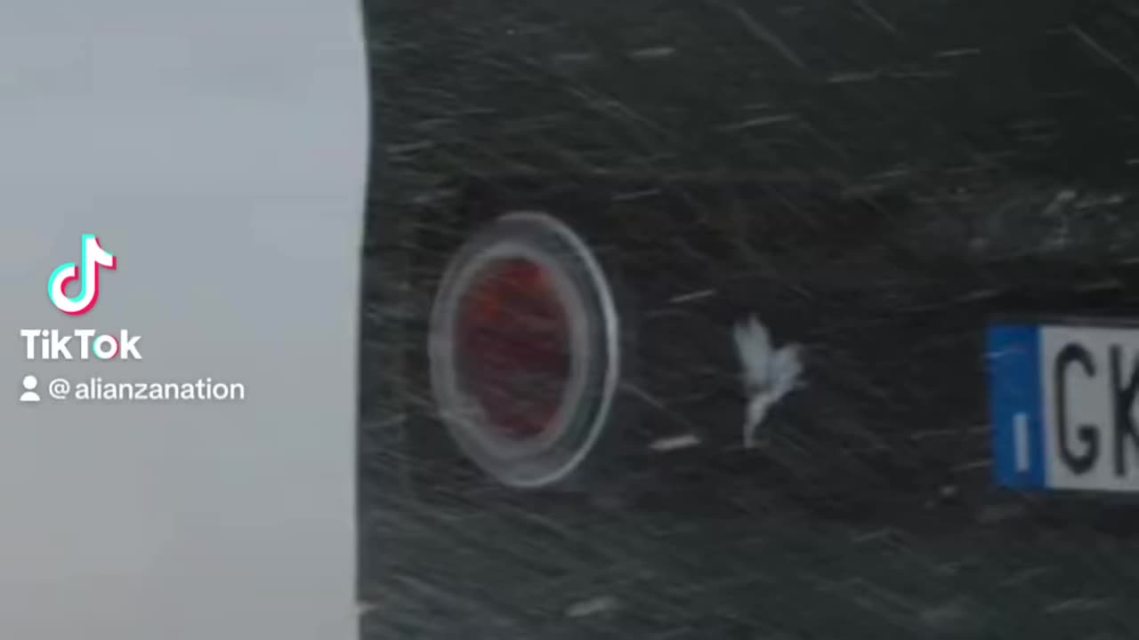 @kimeraautomobili #alianzanation