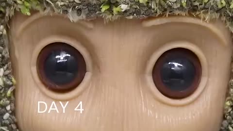 Amazing Transformation of Toy with Growth