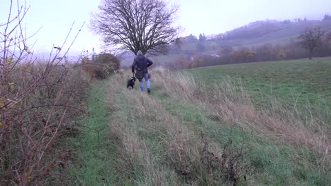 Prima linea con un cucciolone di 6 mesi.