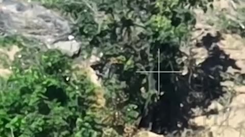 Novoselivske 03.08.2023