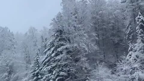 Driving through a winter wonderland ❄️