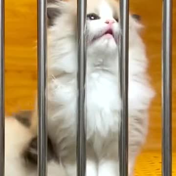 I wanna go, I don't wanna stay here