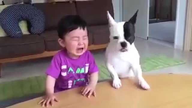 Most funny DOG AND Bybe Videos 2021