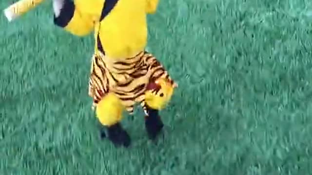 The little monkey king is very cute
