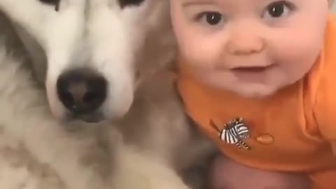 Baby and dog