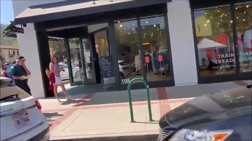 LETS GO SEE THE SHEEPLE