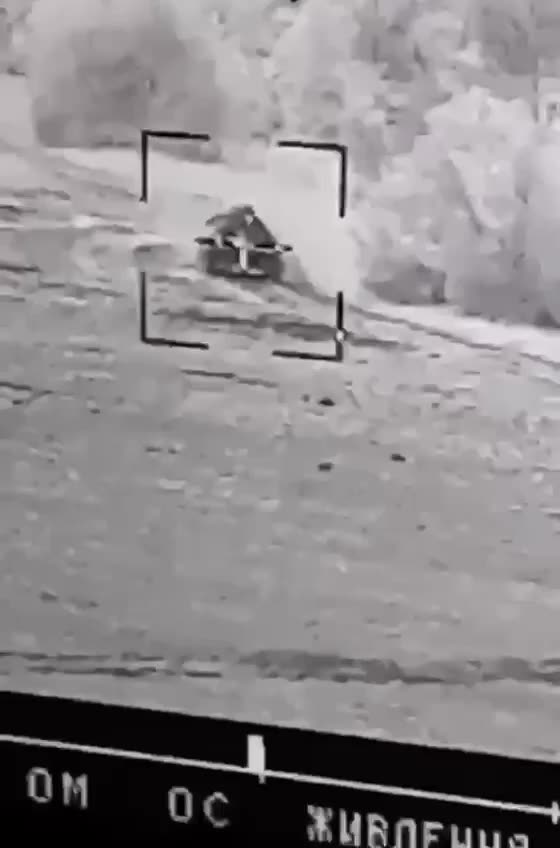 Stugna's work using the pigtail technique.