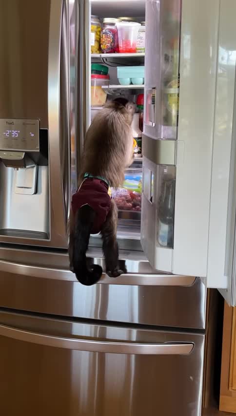 Good Morning what’s for breakfast